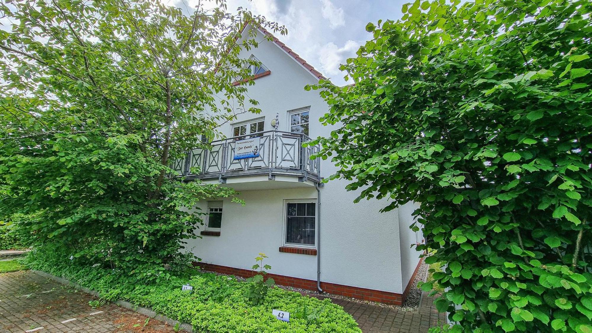 Zur Hanse Wohnung 1 1 زنغست المظهر الخارجي الصورة